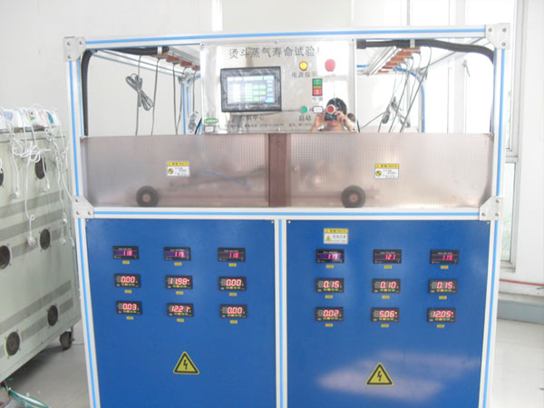 Steam test machine